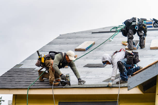 Professional Roof Replacement technician working in Dexter, IA